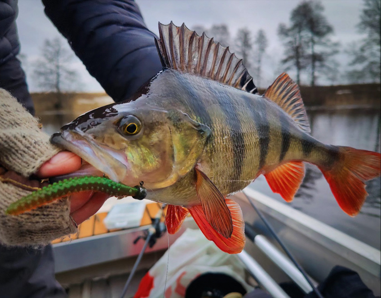 Strike Pro Pig Pickle 8cm 3,1g